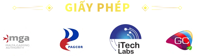 Giấy phép Hi88