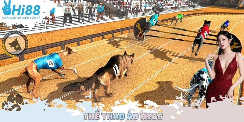 Cược đua ngựa, đua chó độc đáo